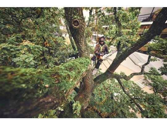 Stihl Accu Kettingzaag Stihl MSA 220 T 