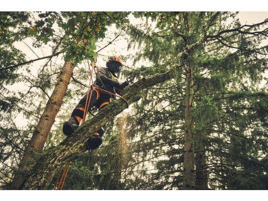 Stihl Accu Kettingzaag Stihl MSA 220 T 