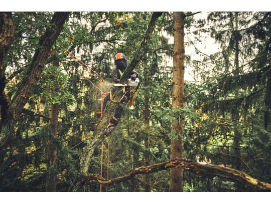 Stihl Accu Kettingzaag Stihl MSA 220 T 